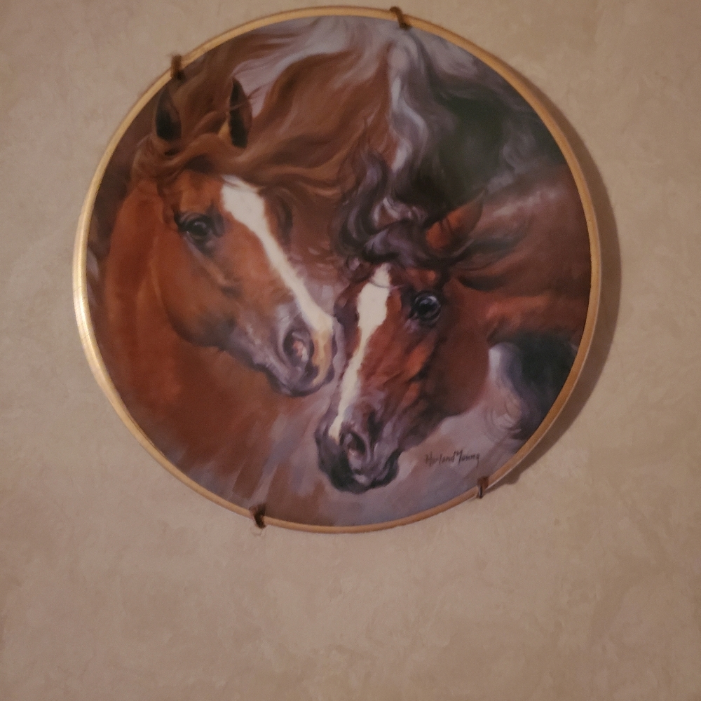 Round Horse Art Wall Decor $90 ONLY FOR TODAY!